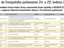 Březen pohledem Soukromníků? Téma číslo jedna - evropské volby